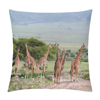 Personality  Herd Wild Herbivorous Cloven-hoofed Animals, Giraffes African  Savannah. Pillow Covers