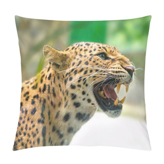 Personality  Portrait Of Leopard Prints Angry In The Natural World. Pillow Covers