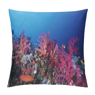 Personality  SUDAN, Red Sea, U.W. Photo, Tropical Anthias, A Grouper And Soft Corals Pillow Covers
