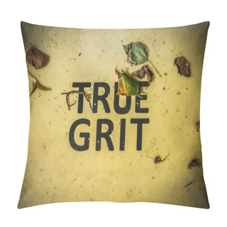 Personality  True Grit Sign Pillow Covers