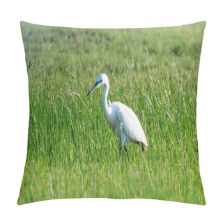 Personality  Great Egret (Ardea Alba) Common Egret Pillow Covers