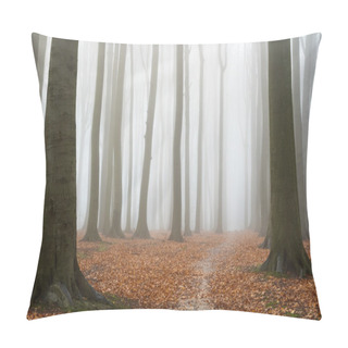 Personality  Misty Autumn Beech Forest Pillow Covers