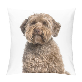 Personality  Labradoodle , 2 Years, Looking At Camera Against White Backgroun Pillow Covers