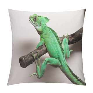 Personality  Plumed Basilisk Pillow Covers