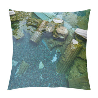Personality  Drowned Ruins Of Ancient City, Hierapolis Pillow Covers