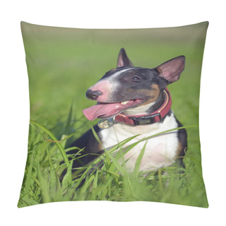 Personality  Black And White Miniature Bull Terrier On The Grass Pillow Covers