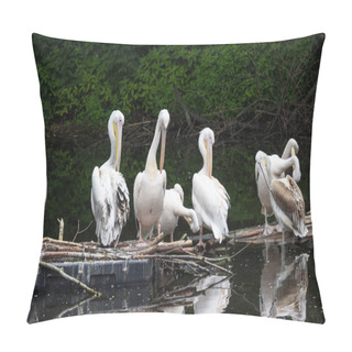 Personality  Group Great White Pelican Sits On A Log In The Lake Pillow Covers