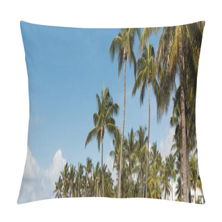 Personality  Green Palm Trees Growing In Modern Park With Benches Against Blue Sky In Miami, Banner  Pillow Covers