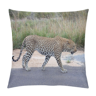 Personality  Big Male Leopard Pillow Covers