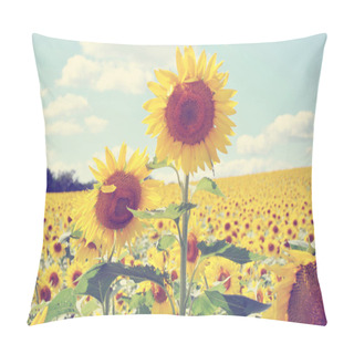 Personality  Vintage Sunflower Field Pillow Covers