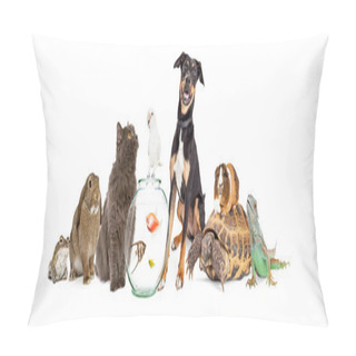 Personality  Large Group Of Domestic Pets Pillow Covers