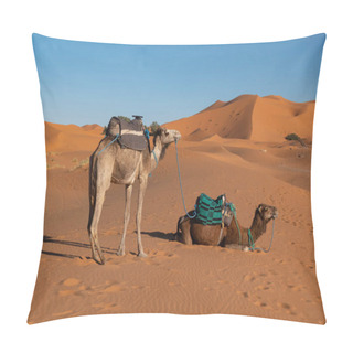 Personality  Camels In Sand Dunes Of Sahara Desert In South Morocco, North Africa.. Pillow Covers