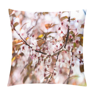 Personality  Close-up View Of Beautiful Blossoming Cherry Tree Branch, Selective Focus Pillow Covers