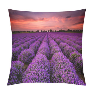 Personality  Lavender Sunset Pillow Covers