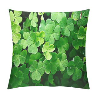 Personality  Background Green Shamrock/ Nature Background, Fresh Green Juicy Color, Shamrock Plant Pillow Covers