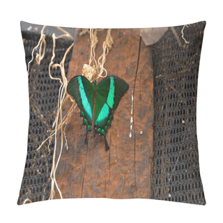 Personality  Emerald Swallowtail Butterfly (Papilio Palinurus) Pillow Covers