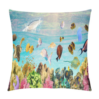 Personality  Underwater World. Coral Fishes Of Red Sea. Egypt Pillow Covers