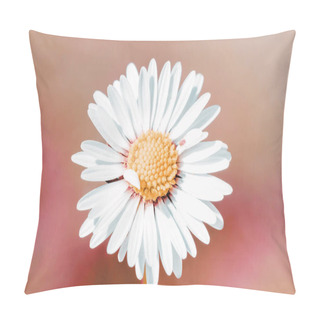 Personality  Detail Of Beautiful Daisy Flower Field With Shallow Focus Pillow Covers