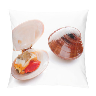 Personality  Giant Clam Pillow Covers