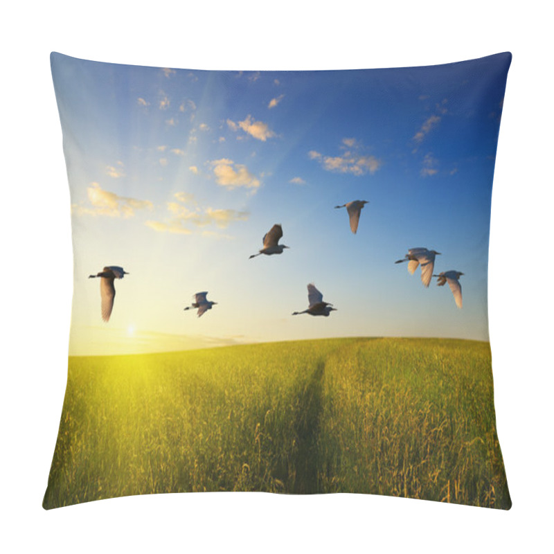 Personality  Field Of Grass And Flying Birds Pillow Covers