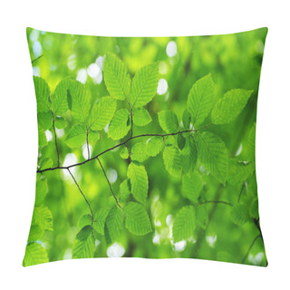 Personality  Spring Summer Flora, Green Leaves Pillow Covers