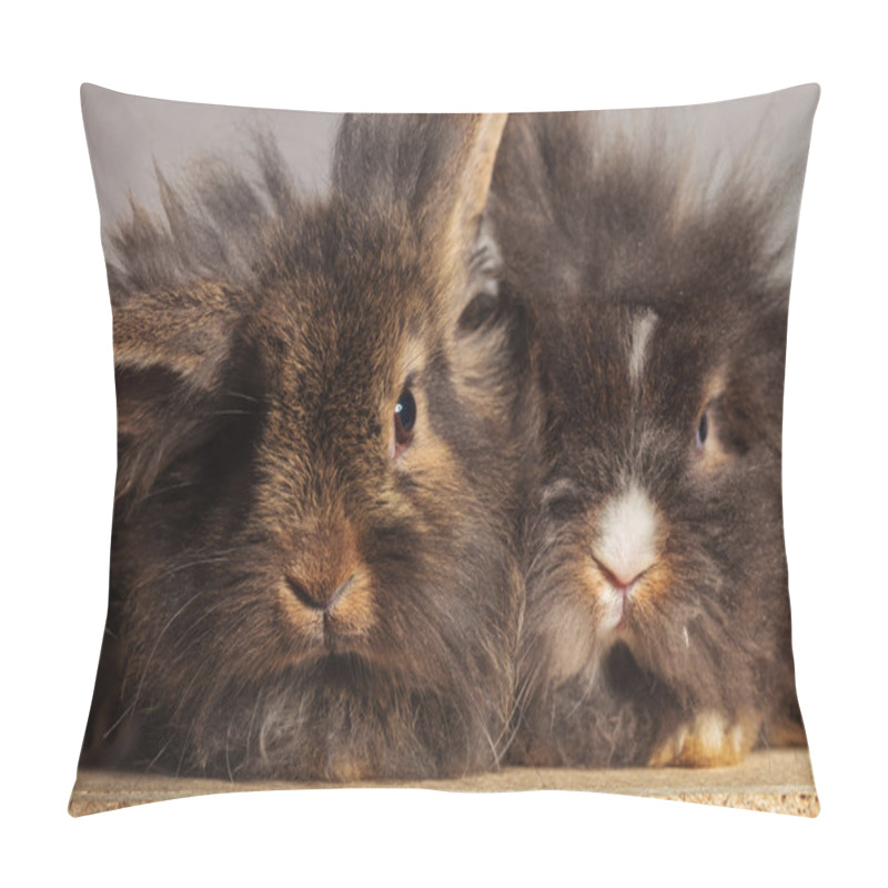 Personality  Two Adorable Lion Head Rabbit Bunnys Sitting Together Pillow Covers