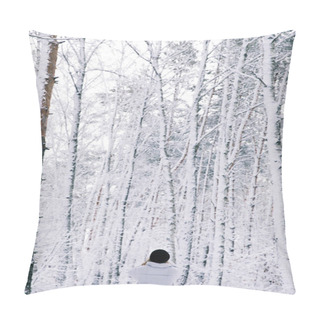 Personality  Rear View Of Girl Walking In Snowy Forest Pillow Covers