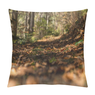 Personality  Dry Leaves On Ground In Forest  Pillow Covers