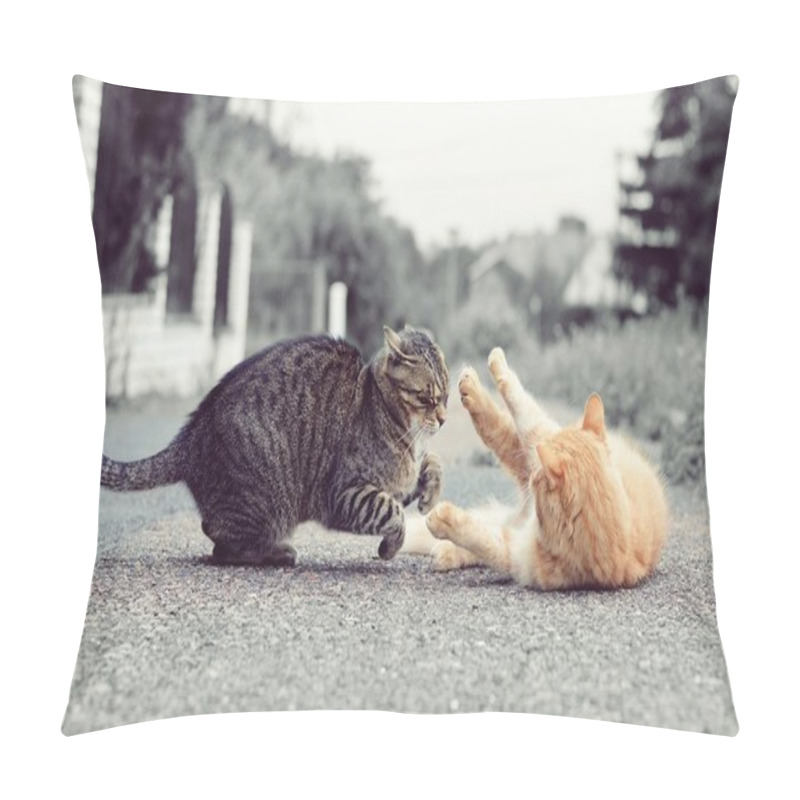 Personality  Cats playing game pillow covers