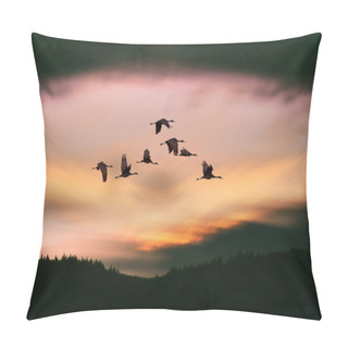 Personality  Flock Of Cranes Spring Or Autumn Migration Pillow Covers