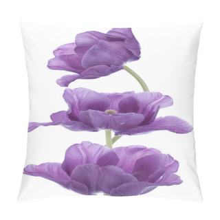 Personality  Tulip Pillow Covers