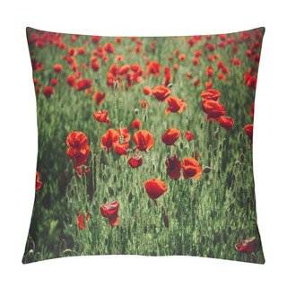 Personality  Field Of Red Poppy Seed Flower Background Pillow Covers