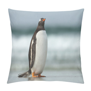 Personality  Gentoo Penguin Standing On A Sandy Ocean Coast Pillow Covers
