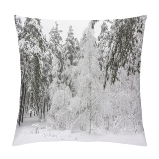 Personality  Walk In The Winter. Snowy Forest. Snow Covered Trees. Drifts Snowfall. Pillow Covers