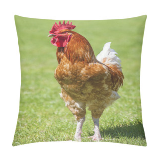 Personality  Beautiful Cock Pillow Covers