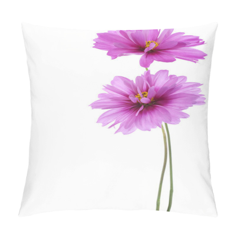 Personality  cosmos flower pillow covers
