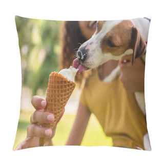 Personality  Cropped View Of Young Woman Feeding Jack Russell Terrier Dog Ice Cream Pillow Covers