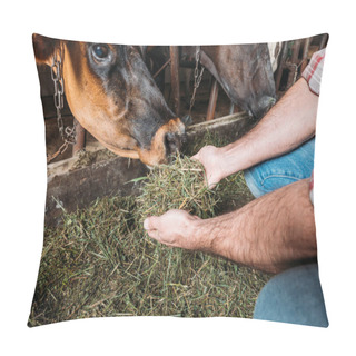 Personality  Farmer Feeding Cows In Stall Pillow Covers