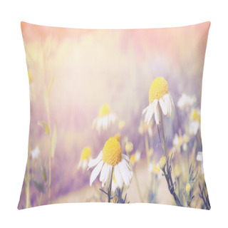 Personality  Wilde Daisies On Sunset Light Pillow Covers