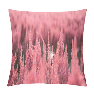 Personality  Milkweed Seed On Foxtail Amaranth Flower Pillow Covers