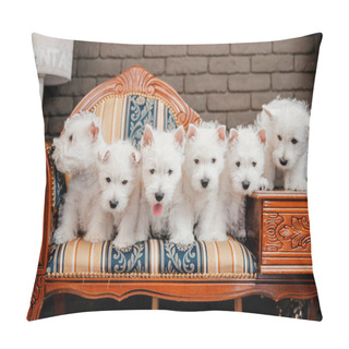 Personality  West Highland White Terrier Puppies Sitting On Sofa At Home  Pillow Covers