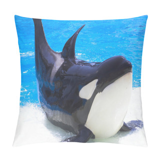 Personality  Orca Show Pillow Covers