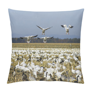 Personality  Snow Geese Landing Pillow Covers