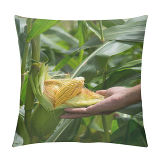 Personality  Close View Of Green Corn Cob In Green Field Pillow Covers