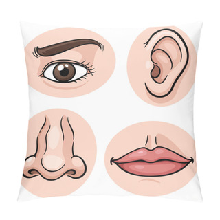 Personality  Body Part Pillow Covers