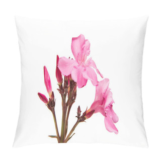 Personality  Pink Oleander Flowers Isolated  Pillow Covers