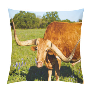 Personality  Beautiful Longhorn Bull Pillow Covers