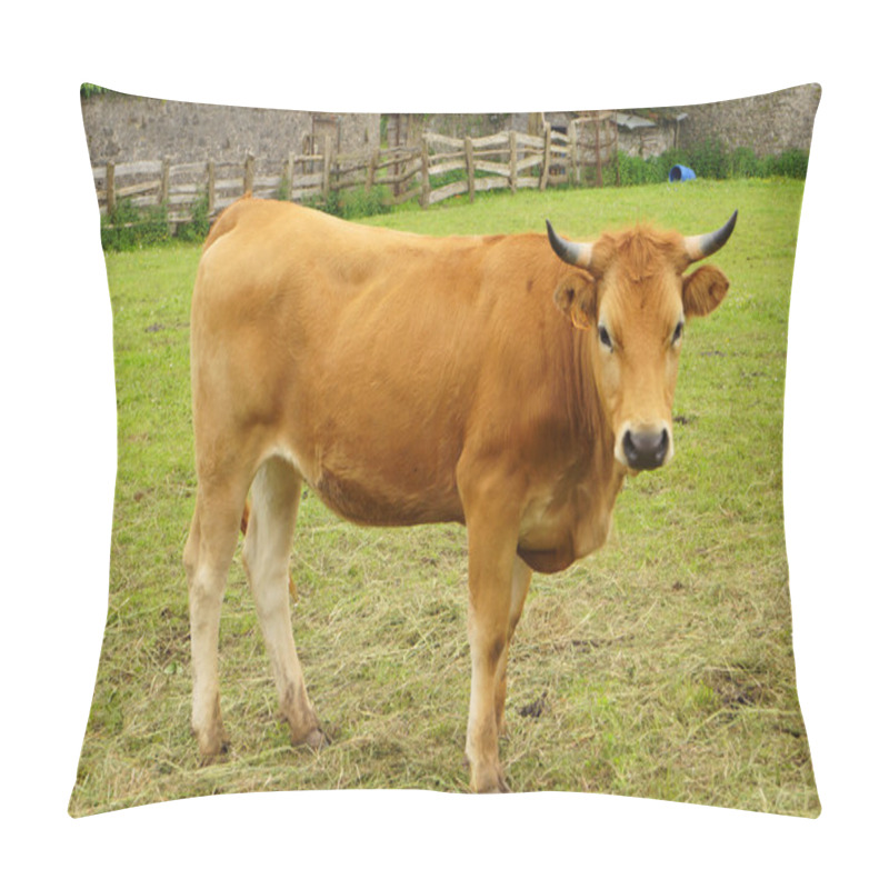 Personality  Asturian cow pillow covers