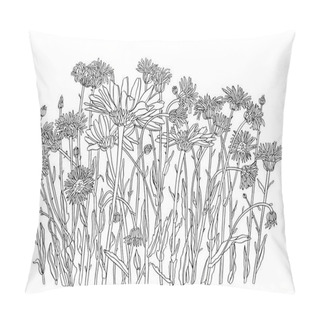 Personality  Daisy Flower Drawing. Hand Drawn Engraved Floral Set. Chamomile Black Ink Sketch. Wild Botanical Garden Bloom. Pillow Covers