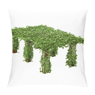 Personality  Long And Tall Pergola With Climbing Ivy Plant Pillow Covers